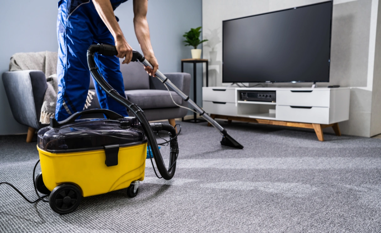 Extract Upholstery Cleaning Point Wilson Contact Office